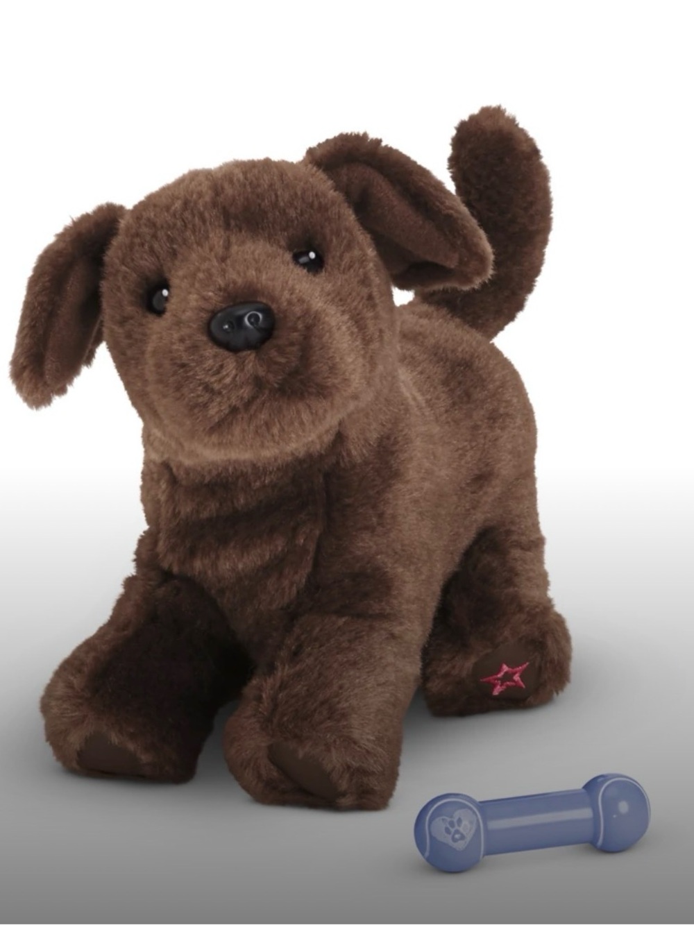 American girl Chocolate Lab Puppy